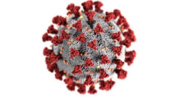 civid-19 virus