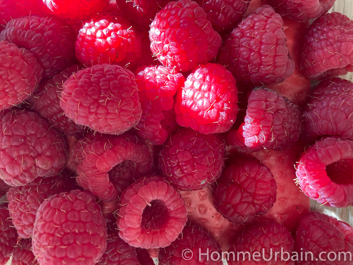 framboises